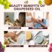Tutto Bene Premium Grapeseed Oil - 1 Gallon (128oz) | 0 Trans Fat, Cholesterol-Free, High Antioxidants & Vitamin E - Ideal for Healthy Cooking - Buy Online on SooperMarket.com