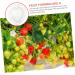 Gogogmee 5pcs Fruit Shaping Mold Plastic Fruit Cucumber Shaping Tool Vegetable Shaping Tool Garden Tools - Buy Online on SooperMarket.com