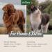 AniForte Linseed Oil for Dogs & Cats 500ml - Cold-Pressed Omega 3 & 6 Fatty Acids | Ideal BARF Diet Supplement - Buy Online on SooperMarket.com