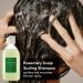 AROMATICA Rosemary Scalp Scaling Trial Kit with Mini Wooden Hair Brush - Clearer, Dandruff-Free Hair - Plant-Based Vegan Shampoo - 3.38 fl. oz Shampoo + 1.01 fl. oz Root Enhancer & Scalp Scrub - Buy Online on SooperMarket.com