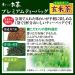 Itoen Genmaicha Matcha Blend Premium Tea Bags 2.3g x 50 - Authentic Japanese Brown Rice Tea - Buy Online on SooperMarket.com