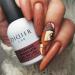 Didier Lab - Premium Gel Nail Polish Macarons - Chocolate - Gel Nail Varnish - Nail Art - Long-Lasting High Gloss Wear - Easy to Apply - Gel Nails - Rich Pigment - UV/LED - Chip Resistant - Buy Online on SooperMarket.com