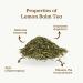 Lemon Balm Tea Organic 100g (50 Cups) | Organic Lemon Balm Leaves Clean and Dried REPLANTEA - Buy Online on SooperMarket.com
