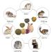 Camiter 15Pcs Rabbit Toys - Natural Timothy Grass Chew Toys for Small Animals | Dental Care Wooden Chain | International Shipping Available - Buy Online on SooperMarket.com