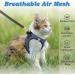 Escape Proof Cat Harness & Lead - Adjustable Reflective Kitten Vest for Outdoor Walking - Comfortable & Easy to Control - Blue XS - Buy Online on SooperMarket.com