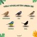 Torgenn Mealworms 2kg - Nutrient-Rich 100% Natural Wild Bird & Fish Food | GVO-Free Additive-Free - Buy Online on SooperMarket.com