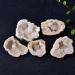 1PC Natural Crystal Agate Geode Cutting Crystal Cluster Stone Rock Specimen Quartz DIY Home Decoration Natural Luster 3-5cm Natural Agate - Buy Online on SooperMarket.com