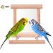 Blessed Family Bird Parakeet Mirror - Wooden Perch Stand and Swing Toy for Parrot Cage - Parakeet Accessories for Various Bird Species - 1 Piece - Buy Online on SooperMarket.com