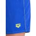 ARENA Boys Bywayx Youth R Swim Trunks 152 - Neon Blue & Soft Green | Best Swimwear for Kids - Buy Online on SooperMarket.com