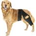 Dog Knee Brace for Torn Knee Brace for Dogs Dog Knee Braces for Back Leg ACL Hind Leg Adjustable Dog Acl Knee Brace Support for Large and Small Dogs with ACL CCL Cruciate Ligament Injuries - Buy Online on SooperMarket.com