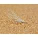 Crazy Charlie Saltwater Fly Fishing Flies - 20ct Assortment on Mustad Signature Duratin Hooks - White, Pink, Crystal, Tan, Chartreuse - Sizes #2, #4, #6 - Buy Online on SooperMarket.com