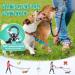 Buy NASJAC Double Dog Leash - No Tangle 360 Rotatable Adjustable Bungee Reflective Leash for Small Medium & Large Dogs - 2-Color Black & Aquamarine - Buy Online on SooperMarket.com