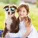JIABEIUS Dog Goggles - Windproof Anti-Fog UV Protection Sunglasses for Cats & Small Dogs (Black) - Buy Online on SooperMarket.com