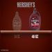 HERSHEY'S Genuine Chocolate Syrup - Halloween Edition - 48 oz Bulk Bottle - Buy Online on SooperMarket.com