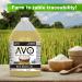 AVO 100% Rice Bran Oil 1 Gallon - Non GMO, No Preservatives - Shop Now! - Buy Online on SooperMarket.com