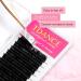 TDANCE Premium D Curl Eyelash Extensions 0.05mm + Ellipse Flat Lashes 0.15 D Curl 8-15mm - Mixed Lengths - Buy Online on SooperMarket.com