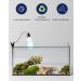 Doright UVA UVB Light 10.0 26W-E27 for Reptiles | UVB Lighting Kit for Chameleons & Leopard Geckos | International Shipping - Buy Online on SooperMarket.com