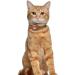 Oopsdoggy Leather Airtag Cat Collar with Bells - Durable Light GPS Collar for Cats & Small Dogs - Apple Airtag Holder - Perfect for Puppies (Light Brown) - Buy Online on SooperMarket.com