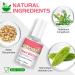 Stop Thumb Sucking & Nail Biting - Child-Friendly Nail Polish Treatment | Bitter Taste | Safe & Effective | Easy Application - 15ML - Buy Online on SooperMarket.com