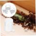 BESPORTBLE 2pcs Ant Water Feeder Ant Water Feeding Bowl Automatic Water Bowl Mini Ant Nest Acrylic Transparent - Buy Online on SooperMarket.com
