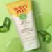 Burt's Bees Gentle Face Scrub with Aloe for Sensitive Skin 98.9% Natural Origin 118ml - Buy Online on SooperMarket.com