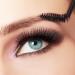 Beavorty 3 sets Soap Brows Brow Waterproof Cream Last Makeup Shaping Female Long with Women - Buy Online on SooperMarket.com