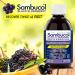 Sambucol Black Elderberry Anti-Viral Flu Care Syrup | Quickly Relieves Cold & Flu Symptoms | Immune Support & Antioxidant | Ideal for Families | 500 mL Anti-Viral Flu Care 500 ml (Pack of 1) - Buy Online on SooperMarket.com