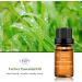 Chamomile + Vetiver Essential Oils Set 100% Pure Aromatherapy Diffuser Blends Oils for Skin Care Hair Bath Massage - Buy Online on SooperMarket.com