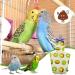 EsEico Reusable Parrots Nappy Pure Cotton Bird Washable Diapers Soft Parrot Nappy Multicoloured Printed Design Adjustable Cotton Fabric Pee Pads for Medium Parrots Cockatiels and Lovebirds. Kiwi - Buy Online on SooperMarket.com