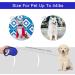 Beaface Retractable Dog Lead for Small Medium Dogs Up to 20KG Retractable Dog Leads 16ft/5M Extendable Dog Leads with Anti-Slip Handle Anti-Tangled Strong Nylon Tape (Blue) - Buy Online on SooperMarket.com