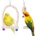 Bird Toys - 9 Piece Parrot Swing Set & Cage Accessories | Wooden Platforms for Budgies Finches & Nymphensittiche - Buy Online on SooperMarket.com