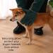 Jomewory Bite-Proof Gloves for Dogs & Cats - Water-Repellent Scratch-Resistant 60cm Protective Gloves for All Pets - Buy Online on SooperMarket.com
