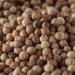 Bremer Gew rzhandel Whole Coriander Seeds - 75g for Cooking & Baking | Premium Quality Spice - Buy Online on SooperMarket.com