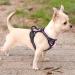 Rabbitgoo No-Pull Dog Harness for Small Dogs - Adjustable & Breathable with Reflective Stripes - Safe Control Breast Harness for Large Dogs - Pink XS (1 Pack) - Buy Online on SooperMarket.com