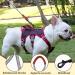 Buy Multi-Purpose Dog Harness with Leash Set - Outbreak-Proof & Anti-Train for Small to Medium Dogs (Beige M) - International Shipping Available - Buy Online on SooperMarket.com