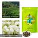 95G Jasmine Tea the Fragrance Is Better Mature and Full Household Drinking Tea Teeth Are Fragrant Suitable for Daily Work and Gifts for Family and Friends - Buy Online on SooperMarket.com