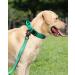 Joytale Tactical Dog Collar | Durable Dog Collar with Handle for Large Dogs | XL Turquoise with QR Code Dog Tag - International Shipping Available - Buy Online on SooperMarket.com