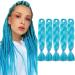 Tess Braids Extensions Blue 60 cm 5 Pack Jumbo Braids Kanecalon Kunsthaar For single-laid Box Braids Hair Extension Braid 100g/Bundle of Hair Braids Extension (5 pieces) 60 cm (5 pieces) Blue