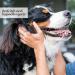 Mighty Mutt Natural Deodorizing Dog Spray 8oz | Odor Control, Freshening & Hypoallergenic | Calming & Moisturizing Formula - Buy Online on SooperMarket.com