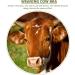 POPETPOP Milk Hood | Calf Weaner Tool & Cow Breastfeeding Equipment - Outdoor Farm Supplies - Buy Online on SooperMarket.com