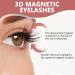 Landrain Magnetic Eyelashes Without Eyeliner Reusable Magnetic Eyelashes No Glue or Liner - Buy Online on SooperMarket.com
