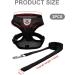 Buy Nizirioo Cat Harness & 2 Safe Cat Dishes - Stylish Black Set for Small Medium Pets - Buy Online on SooperMarket.com