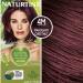 Naturtint Permanent Hair Color 4M Mahogany Chestnut - Pack of 6 | Ammonia-Free, Vegan, Cruelty-Free | Up to 100% Gray Coverage, Long-Lasting Results - Buy Online on SooperMarket.com