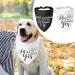 WLLHYF My Humans are Getting Married She Said Yes Dog Bandana Pets Scarf Triangle Bibs Kerchief Set Wedding Photo Prop Decoration Pet Costume Accessories for Dog Lovers Small Medium Large Dogs Cats - Buy Online on SooperMarket.com