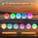 Baozily Light Alarm Clock Sunrise Sunset Simulation Double Alarms Snooze FM Radio & 11 Color Options Wake Up Naturally! - Buy Online on SooperMarket.com