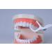 cleanpik toothpick 50 / pack 3 box dental floss teeth clean teeth gum floss - Buy Online on SooperMarket.com