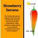 Fat Cat Strawberry Sauce - Buy Online on SooperMarket.com