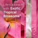 Glade Scented Candle Exotic Tropical Blossoms 1-Wick Candle Air Freshener Infused with Essential Oils for Home Fragrance 1 Count - Buy Online on SooperMarket.com