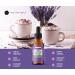 Lavender Extract (1oz) by Kate Naturals - 100% Natural & Vegan Flavoring for Baking & Drinks | Gluten-Free Edible Oil - Culinary Lavender Extract - Buy Online on SooperMarket.com