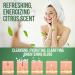 Tea Tree Oil Face Wash 4oz - Natural Skin Cleanser for Acne & Ringworm - Made in USA - Buy Online on SooperMarket.com